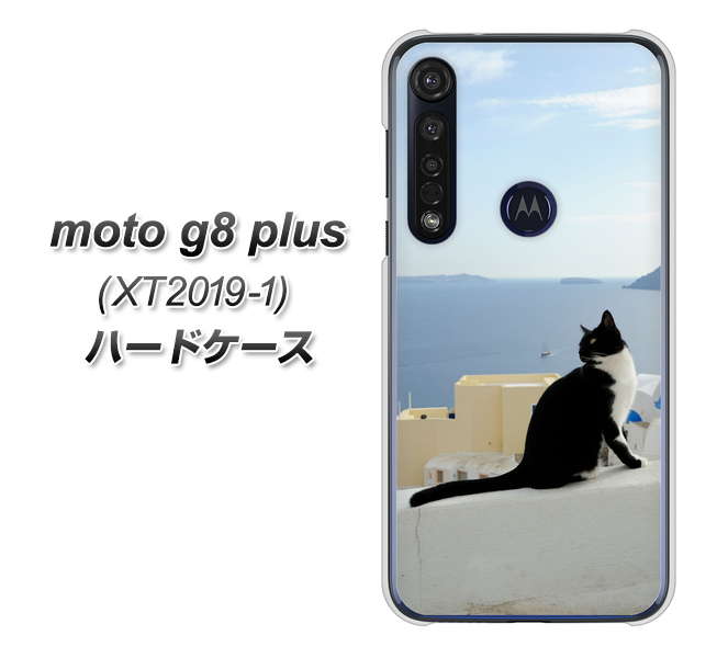 SIMフリー moto g8 plus XT2019-1 高画質仕上げ 背面印刷 ハードケース【VA805 ネコと地中海】