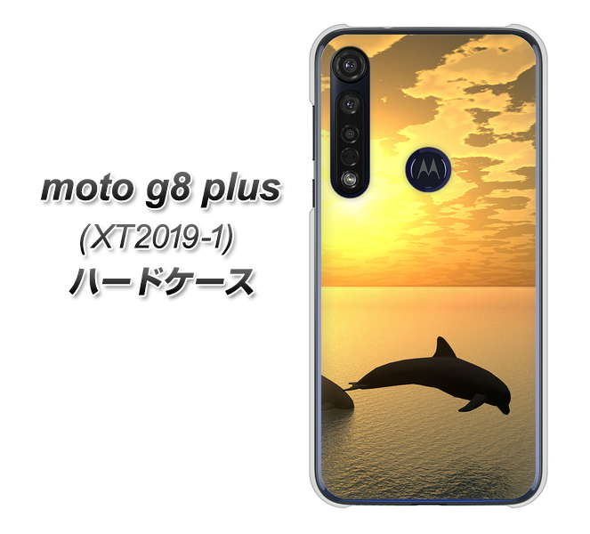 SIMフリー moto g8 plus XT2019-1 高画質仕上げ 背面印刷 ハードケース【VA845 夕暮れのドルフィン】