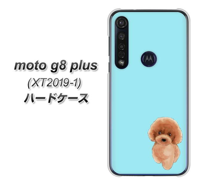 SIMフリー moto g8 plus XT2019-1 高画質仕上げ 背面印刷 ハードケース【YJ050 トイプードルレッド（ブルー）】