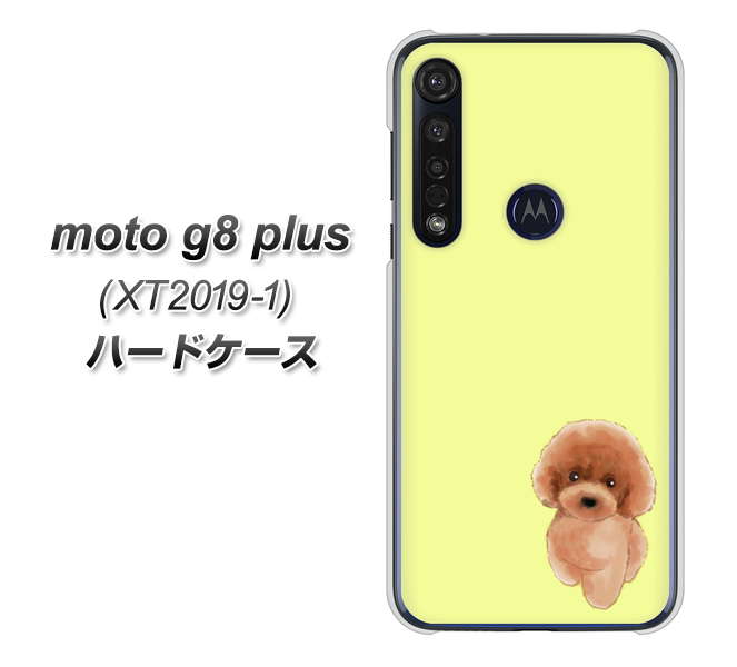 SIMフリー moto g8 plus XT2019-1 高画質仕上げ 背面印刷 ハードケース【YJ051 トイプードルレッド（イエロー）】