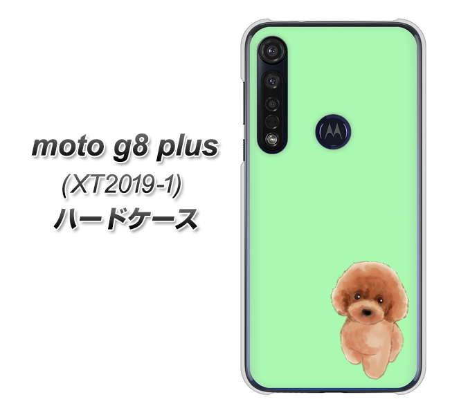 SIMフリー moto g8 plus XT2019-1 高画質仕上げ 背面印刷 ハードケース【YJ052 トイプードルレッド（ グリーン）】