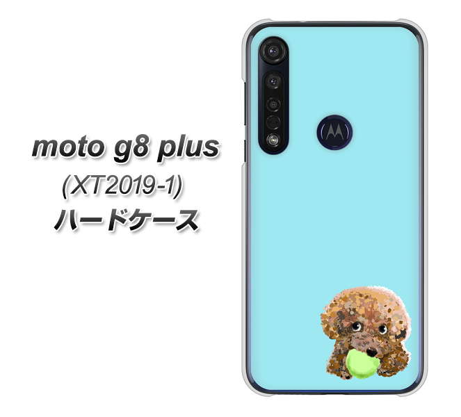 SIMフリー moto g8 plus XT2019-1 高画質仕上げ 背面印刷 ハードケース【YJ054 トイプードル＆ボール（ブルー）】