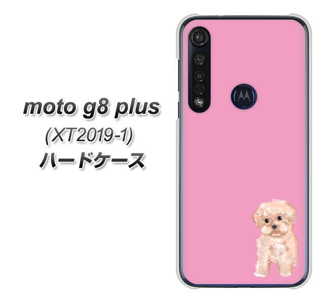 SIMフリー moto g8 plus XT2019-1 高画質仕上げ 背面印刷 ハードケース【YJ061 トイプードルアプリコット（ピンク）】