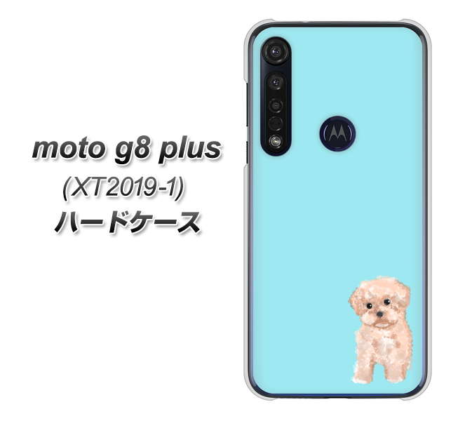 SIMフリー moto g8 plus XT2019-1 高画質仕上げ 背面印刷 ハードケース【YJ062 トイプードルアプリコット（ブルー）】