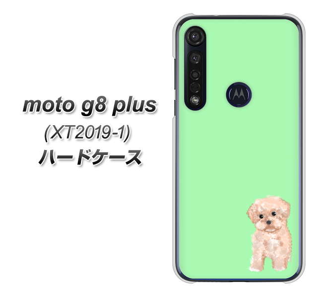 SIMフリー moto g8 plus XT2019-1 高画質仕上げ 背面印刷 ハードケース【YJ063 トイプードルアプリコット（グリーン）】