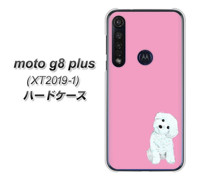 SIMフリー moto g8 plus XT2019-1 高画質仕上げ 背面印刷 ハードケース【YJ069 トイプードルホワイト（ピンク）】