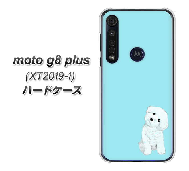 SIMフリー moto g8 plus XT2019-1 高画質仕上げ 背面印刷 ハードケース【YJ070 トイプードルホワイト（ブルー）】
