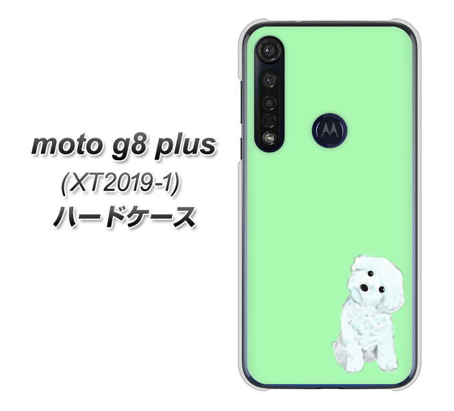 SIMフリー moto g8 plus XT2019-1 高画質仕上げ 背面印刷 ハードケース【YJ071 トイプードルホワイト（グリーン）】