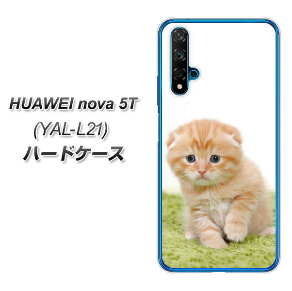 HUAWEI（ファーウェイ） nova 5T YAL-L21 高画質仕上げ 背面印刷 ハードケース【VA802 ネコこっそり】