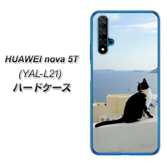 HUAWEI（ファーウェイ） nova 5T YAL-L21 高画質仕上げ 背面印刷 ハードケース【VA805 ネコと地中海】