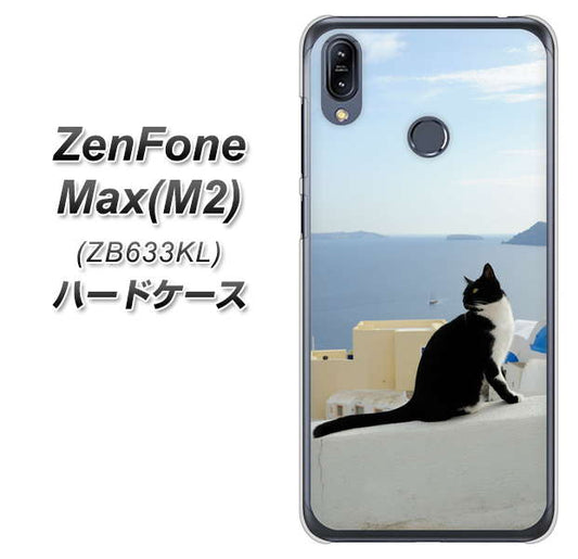 ZenFone（ゼンフォン）Max(M2) ZB633KL 高画質仕上げ 背面印刷 ハードケース【VA805 ネコと地中海】