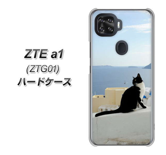 au ZTE a1 ZTG01 高画質仕上げ 背面印刷 ハードケース【VA805 ネコと地中海】